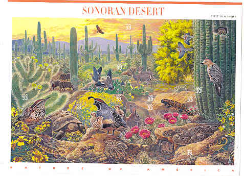 Carolina Mountain Stamps and Art